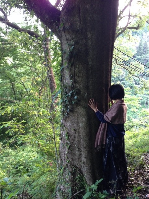 居心地ツアー：木を触る